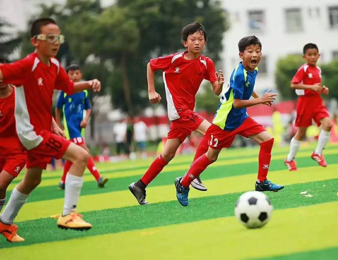 宝哥竞彩观点：南球杯主场优势大 科林蒂安赢球晋级_彩票_新浪竞技风暴_新浪网